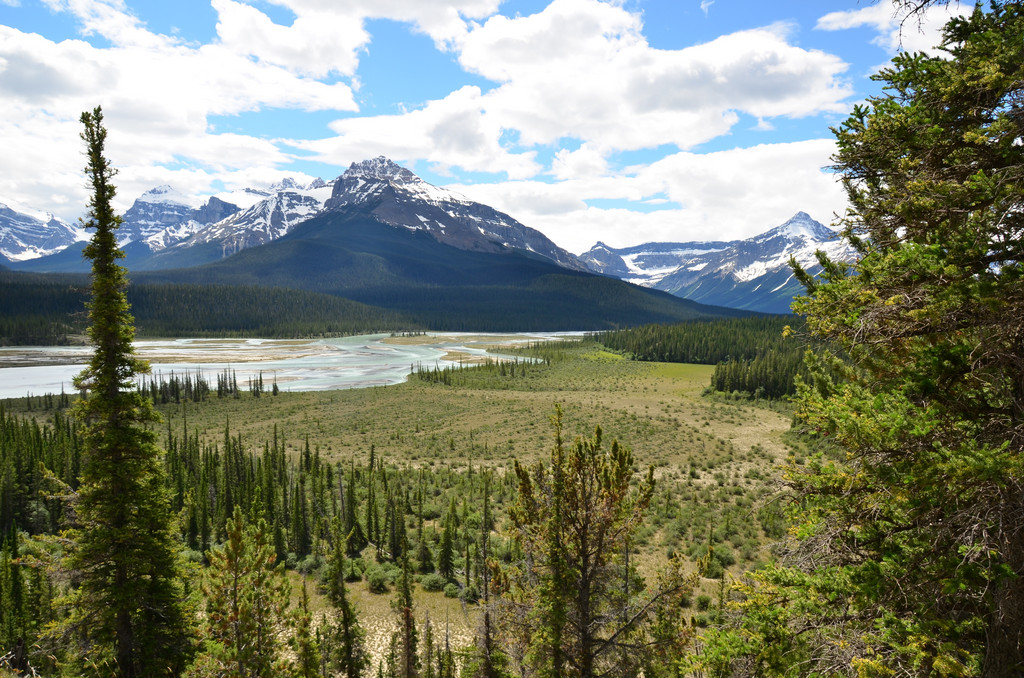 Saskatchewan River Crossing, Alberta, Canada. 5 juillet 2012, 14:41.© Tobias Bührer 2012