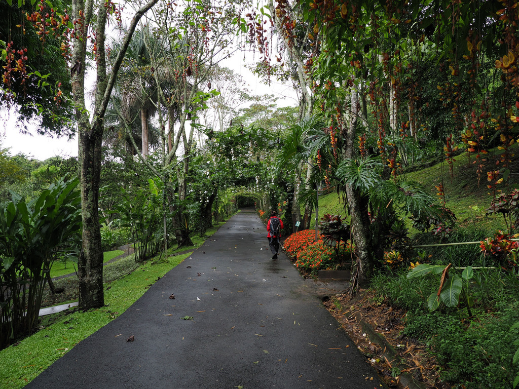 Jardin botanique Else Kientzler, San Pedro, Provincia de Alajuela, Costa Rica. 16 novembre 2024, 12:56.© Tobias Bührer 2024