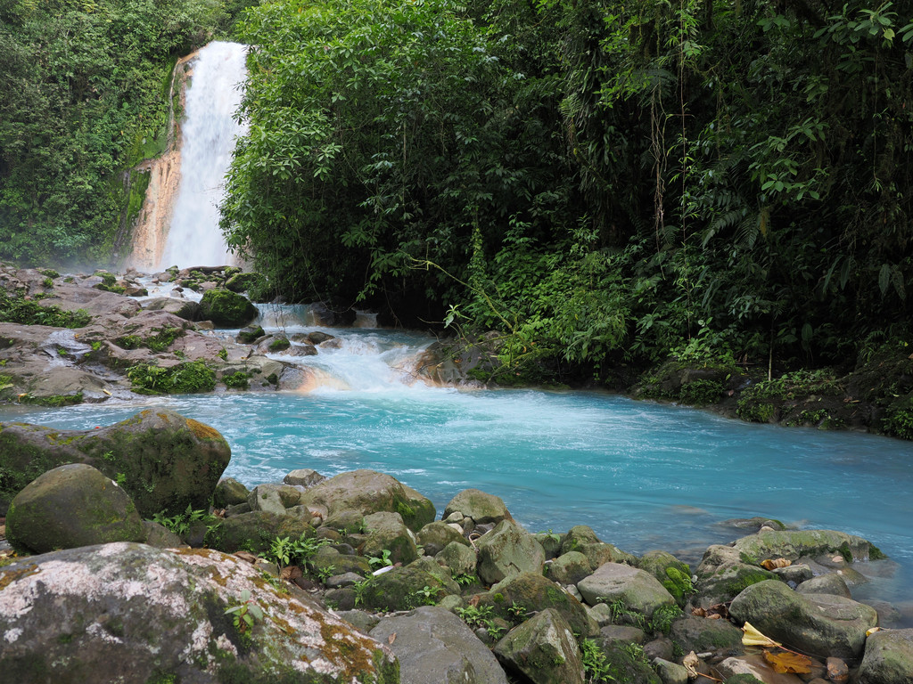 Blue Falls of Costa Rica, Toro Amarillo, Provincia de Alajuela, Costa Rica. 16 novembre 2024, 15:55.© Tobias Bührer 2024