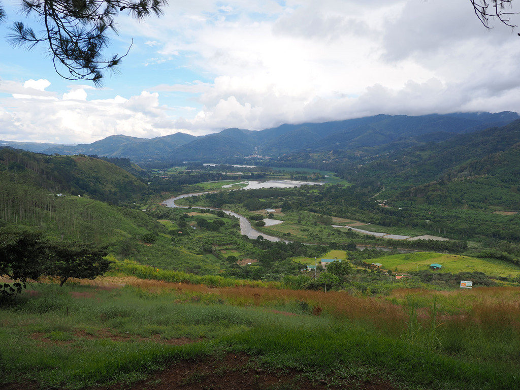 San Chirí, Paraíso, Provincia de Cartago, Costa Rica. 21 novembre 2024, 14:15.© Tobias Bührer 2024