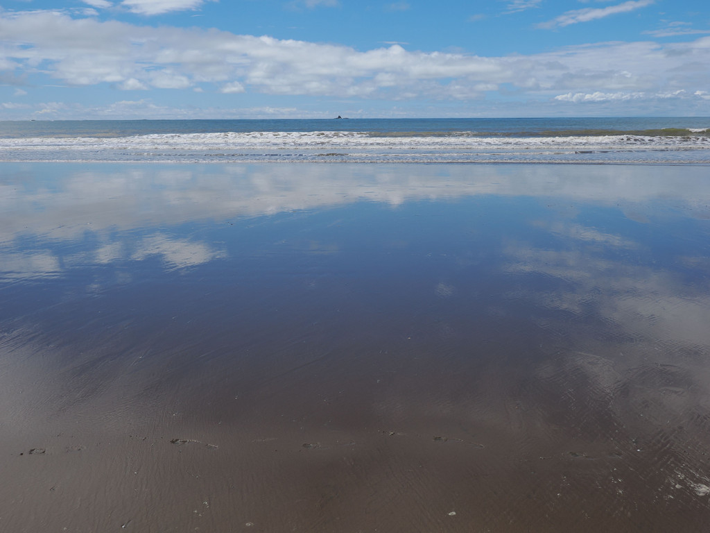 Uvita, Bahía Ballena, Provincia de Puntarenas, Costa Rica. 24 novembre 2024, 12:36.© Tobias Bührer 2024