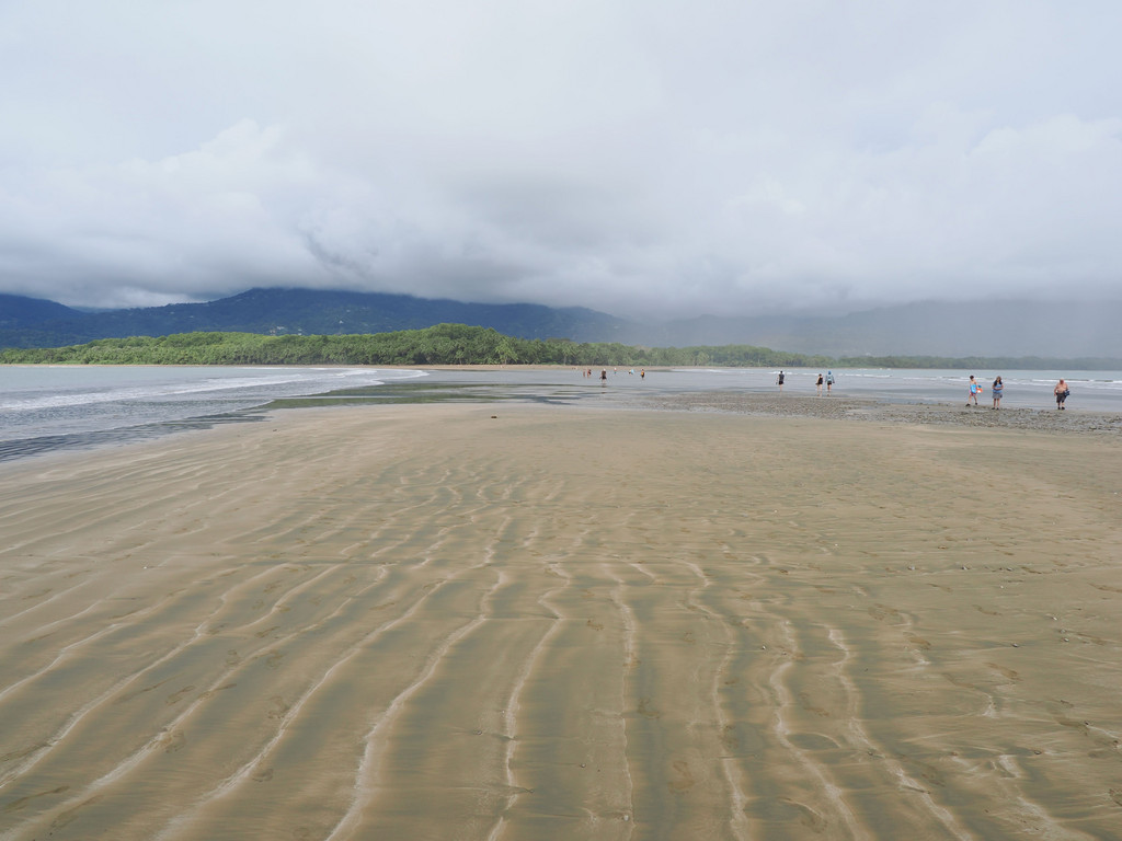 Uvita, Bahía Ballena, Provincia de Puntarenas, Costa Rica. 24 novembre 2024, 14:06.© Tobias Bührer 2024