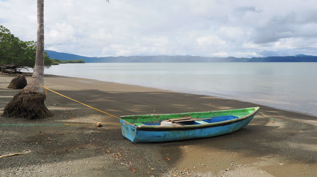 Palma, Sierpe, Provincia de Puntarenas, Costa Rica. 25 novembre 2024, 14:07.© Tobias Bührer 2024