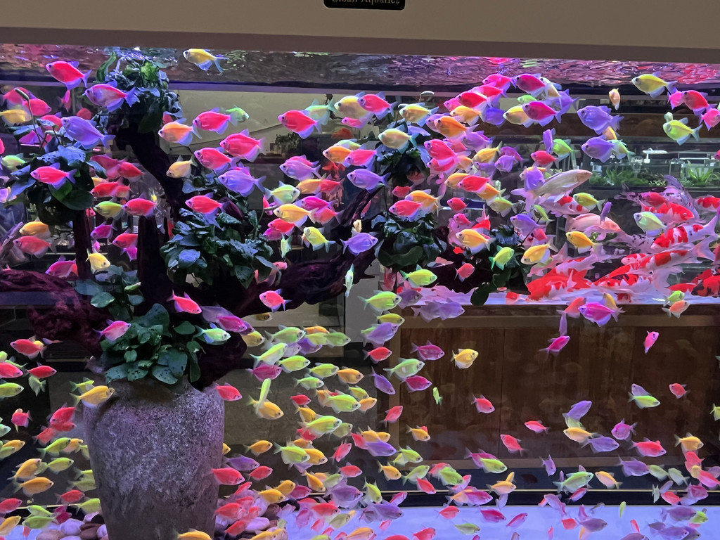 Kunming, Kunming, Yunnan, Chine. 27 octobre 2025, 16:26.© Tobias Bührer 2025