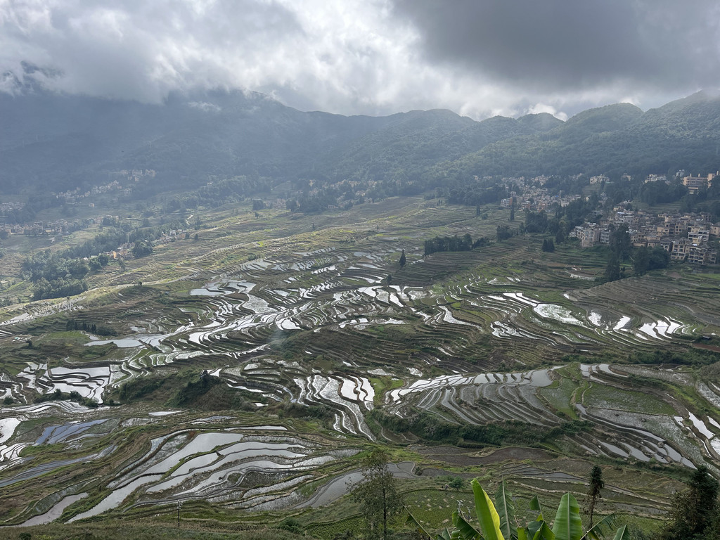 Huangcaoling, Yunnan, Chine. 31 octobre 2025, 11:59.© Tobias Bührer 2025
