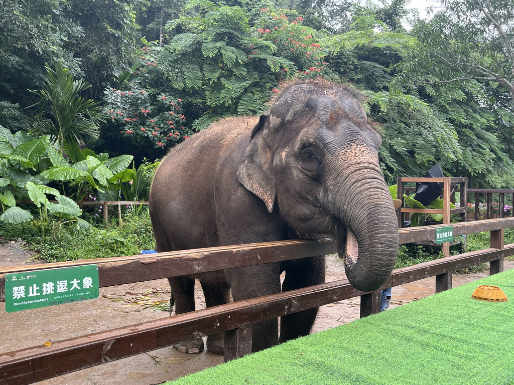 Chalin Shequ, Yunnan, Chine. 2 novembre 2025, 14:36.© Tobias Bührer 2025