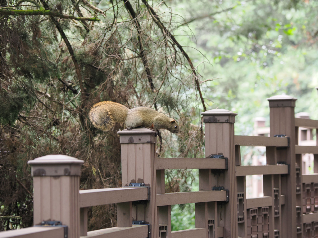 Longmen, Guandu District, Yunnan, Chine. 26 octobre 2025, 14:57.© Tobias Bührer 2025