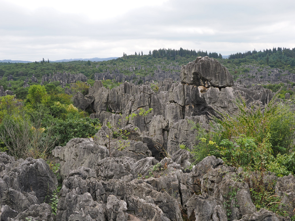Shilin, Yunnan, Chine. 27 octobre 2025, 13:32.© Tobias Bührer 2025