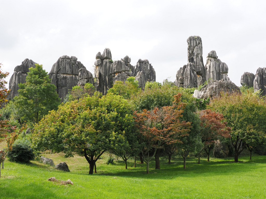 Shilin, Yunnan, Chine. 27 octobre 2025, 13:54.© Tobias Bührer 2025
