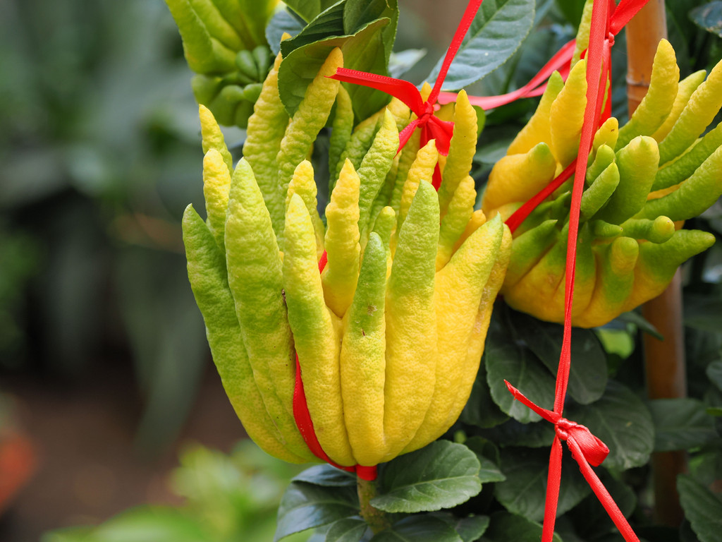 Kunming, Kunming, Yunnan, Chine. 27 octobre 2025, 16:27.© Tobias Bührer 2025
