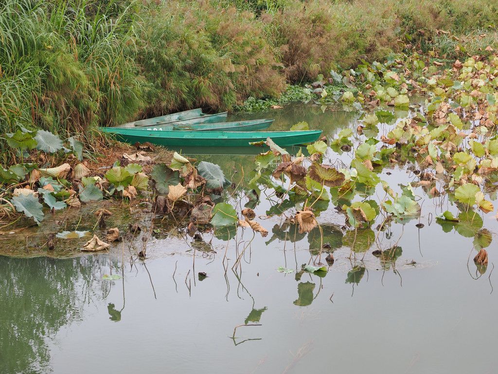 Puzhehei, Yunnan, Chine. 28 octobre 2025, 10:38.© Tobias Bührer 2025