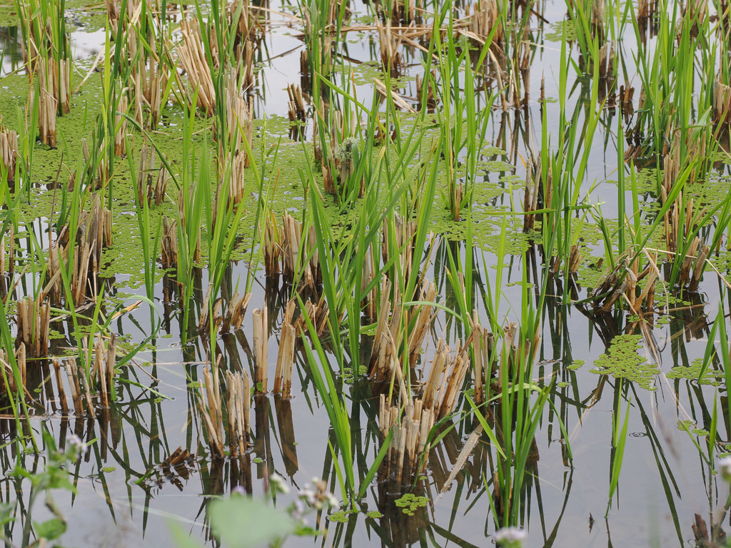 Daxinzhai, Yunnan, Chine. 30 octobre 2025, 14:53.© Tobias Bührer 2025