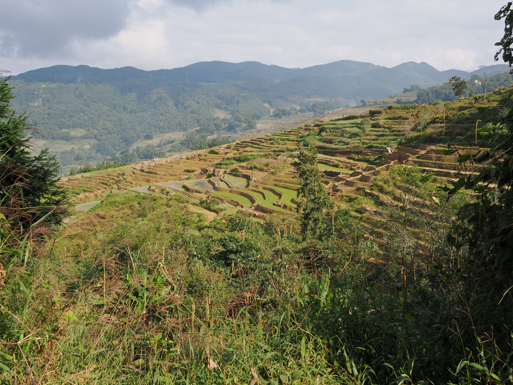 Dayutang, Yunnan, Chine. 30 octobre 2025, 15:26.© Tobias Bührer 2025
