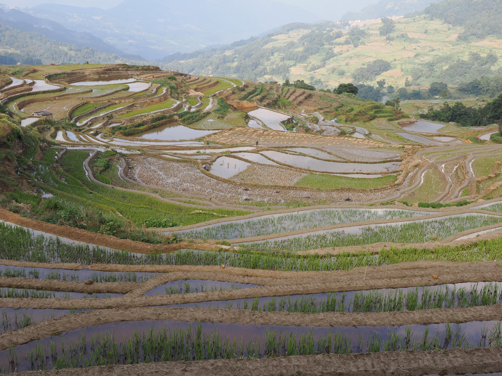 Quanfuzhuang, Yunnan, Chine. 30 octobre 2025, 15:42.© Tobias Bührer 2025