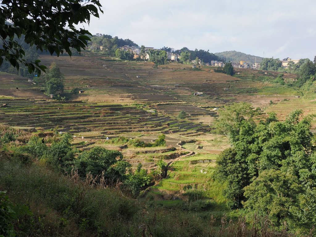 Quanfuzhuang, Yunnan, Chine. 31 octobre 2025, 09:26.© Tobias Bührer 2025