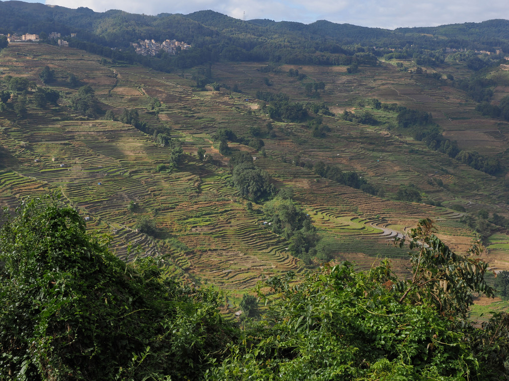 Malizhai, Yunnan, Chine. 31 octobre 2025, 10:00.© Tobias Bührer 2025