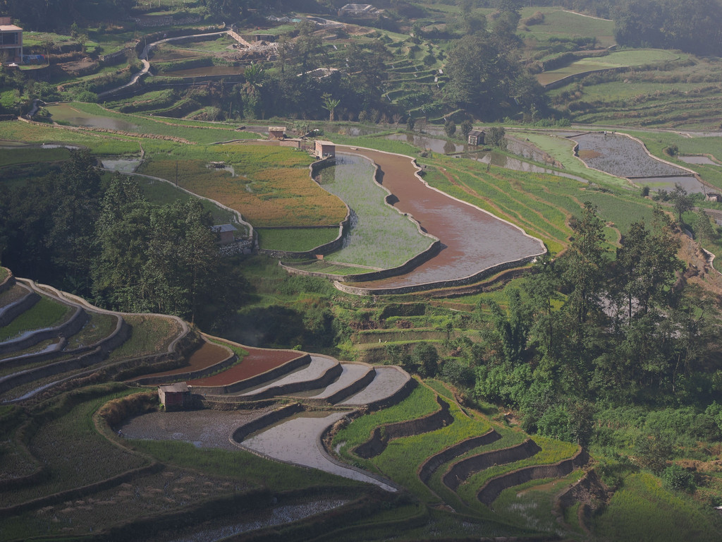 Zhulu, Yunnan, Chine. 31 octobre 2025, 10:55.© Tobias Bührer 2025