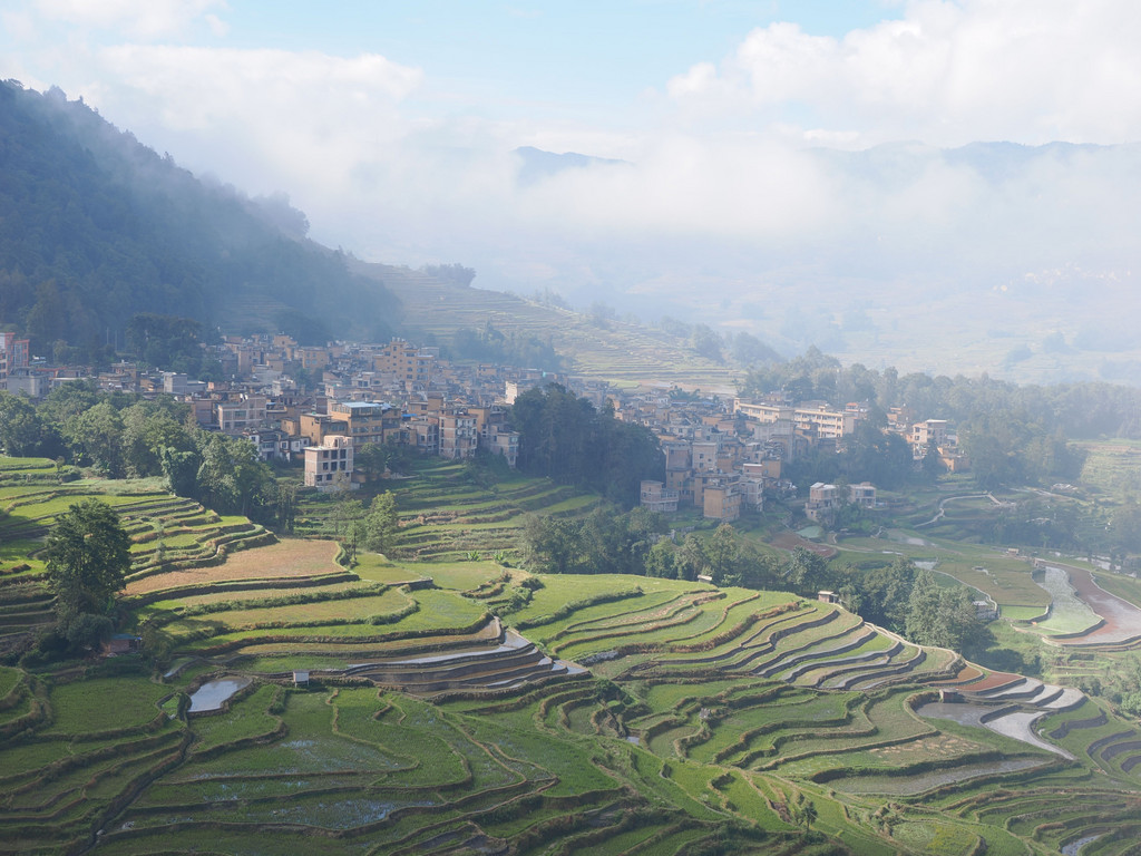 Zhulu, Yunnan, Chine. 31 octobre 2025, 10:56.© Tobias Bührer 2025