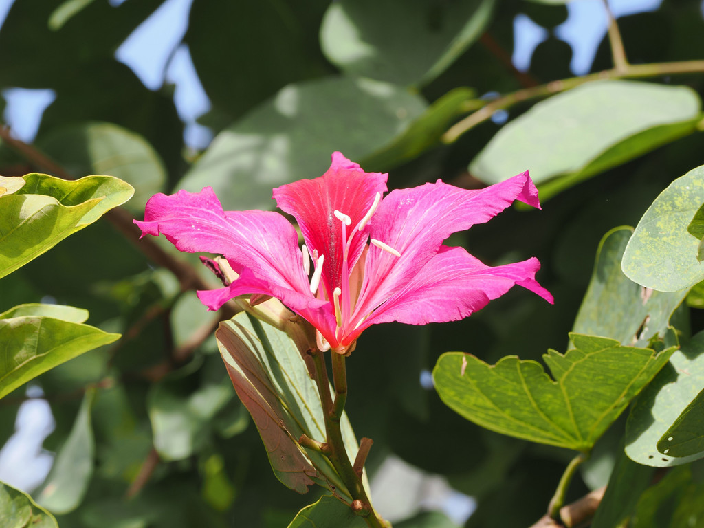 Zhulu, Yunnan, Chine. 31 octobre 2025, 11:03.© Tobias Bührer 2025