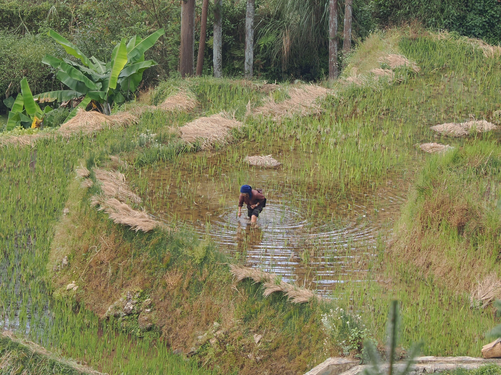 Huangcaoling, Yunnan, Chine. 31 octobre 2025, 11:43.© Tobias Bührer 2025
