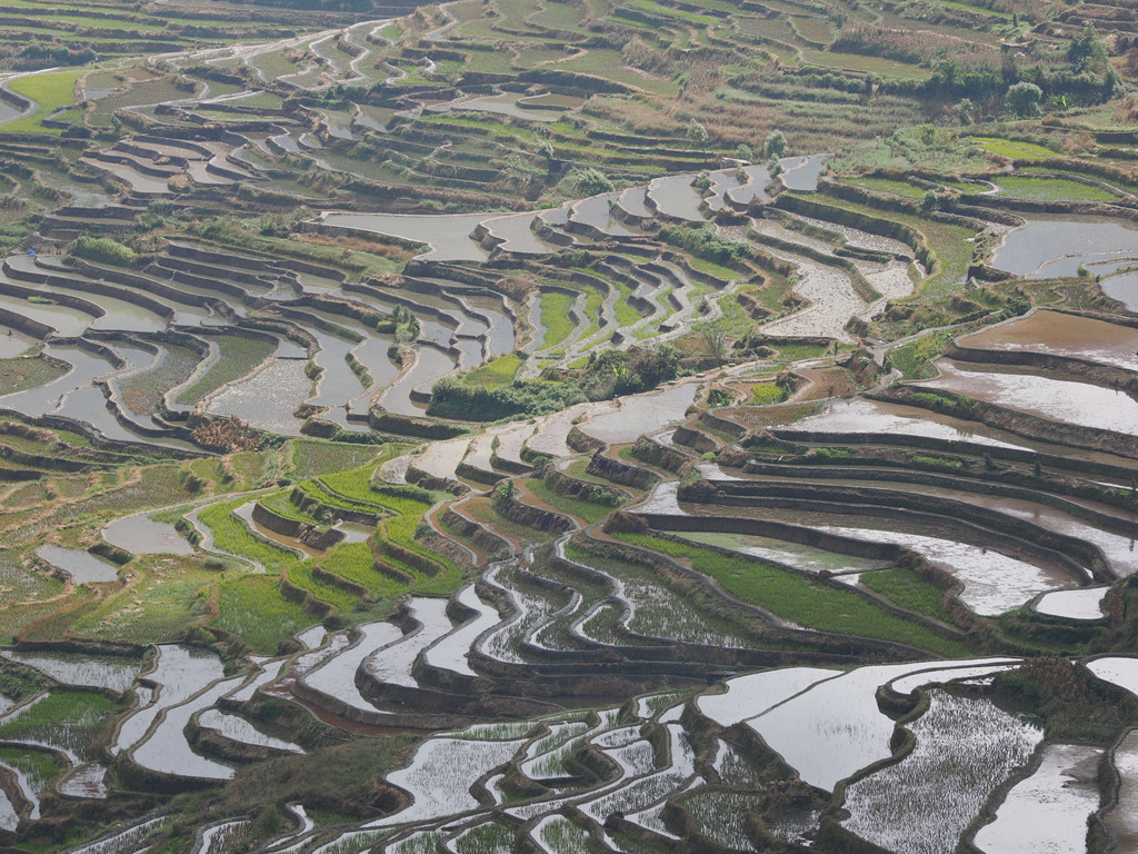 Huangcaoling, Yunnan, Chine. 31 octobre 2025, 11:52.© Tobias Bührer 2025