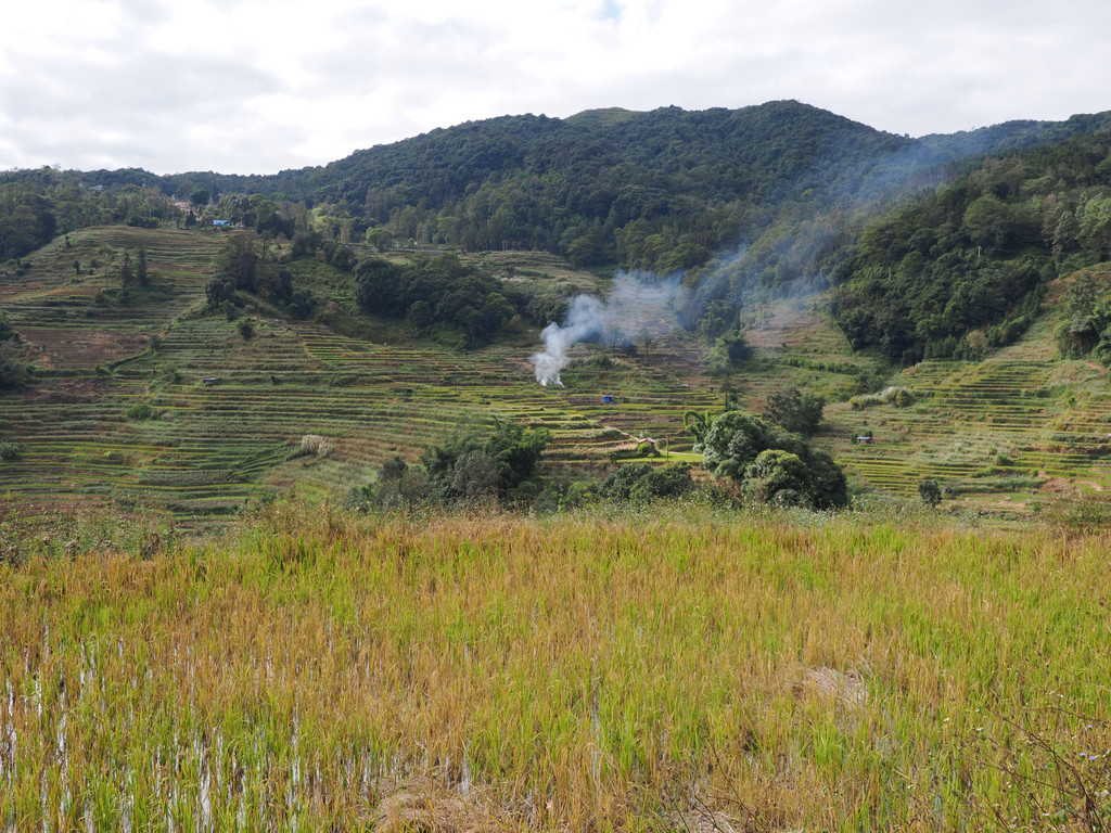 Mengpin, Yunnan, Chine. 31 octobre 2025, 15:36.© Tobias Bührer 2025