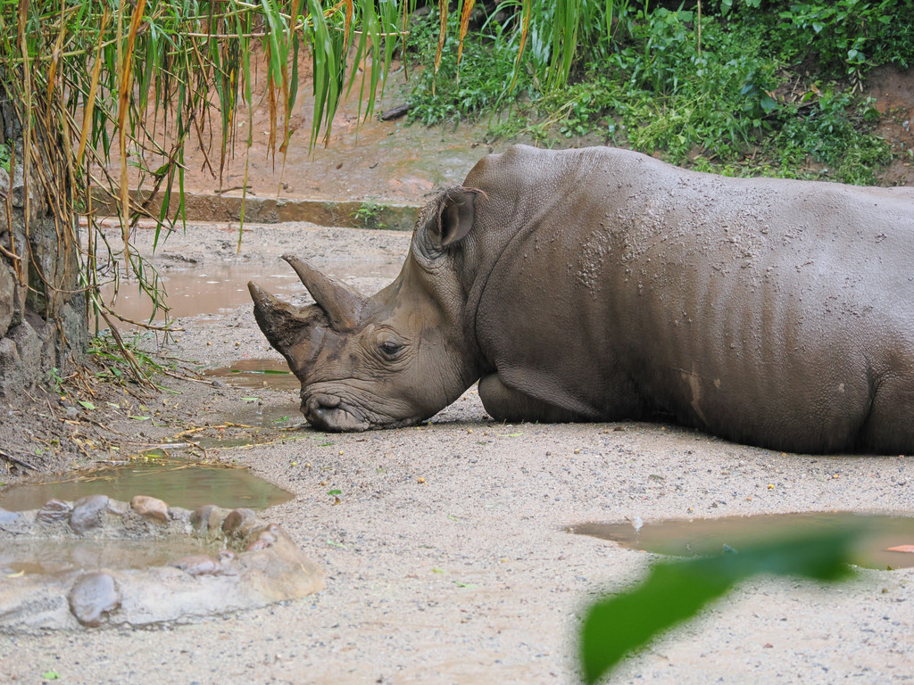 Dajiuzhai, Yunnan, Chine. 2 novembre 2025, 10:25.© Tobias Bührer 2025