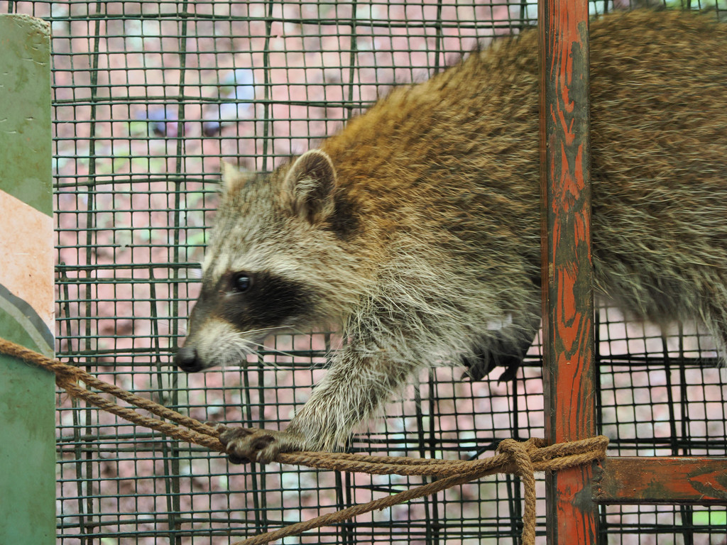 Dajiuzhai, Yunnan, Chine. 2 novembre 2025, 10:31.© Tobias Bührer 2025