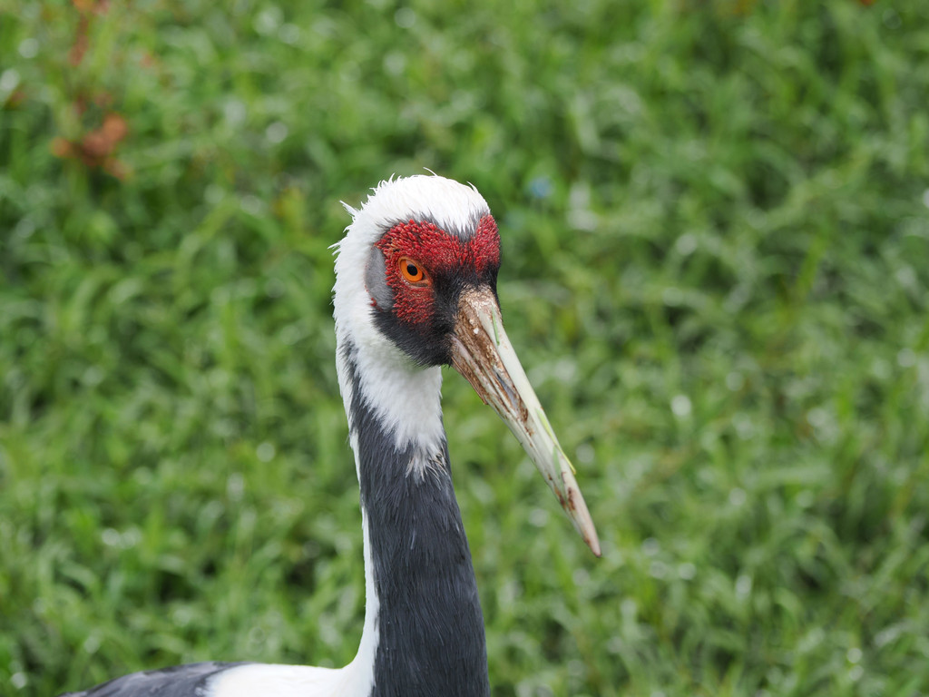 Dajiuzhai, Yunnan, Chine. 2 novembre 2025, 11:15.© Tobias Bührer 2025