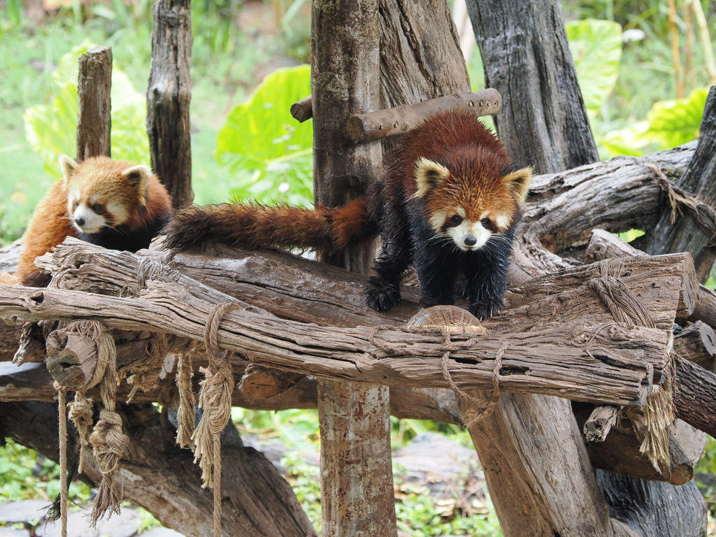 Liujiazhai, Yunnan, Chine. 2 novembre 2025, 11:21.© Tobias Bührer 2025
