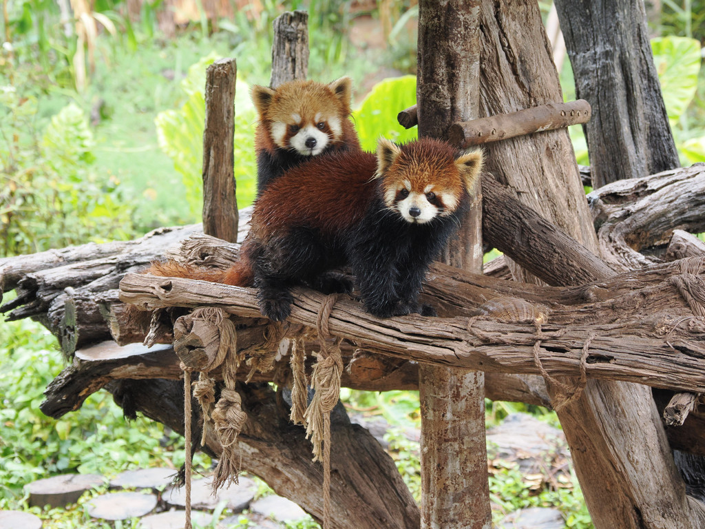 Liujiazhai, Yunnan, Chine. 2 novembre 2025, 11:21.© Tobias Bührer 2025
