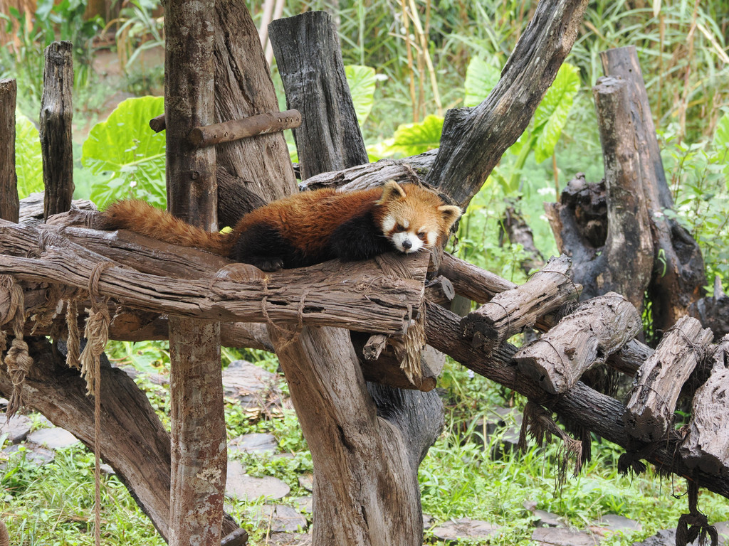 Liujiazhai, Yunnan, Chine. 2 novembre 2025, 11:22.© Tobias Bührer 2025