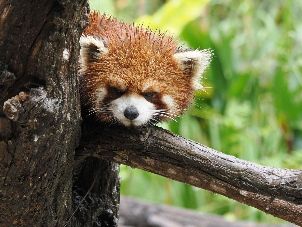 Liujiazhai, Yunnan, Chine. 2 novembre 2025, 11:25.© Tobias Bührer 2025