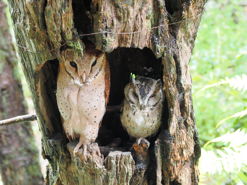 Liujiazhai, Yunnan, Chine. 2 novembre 2025, 11:36.© Tobias Bührer 2025