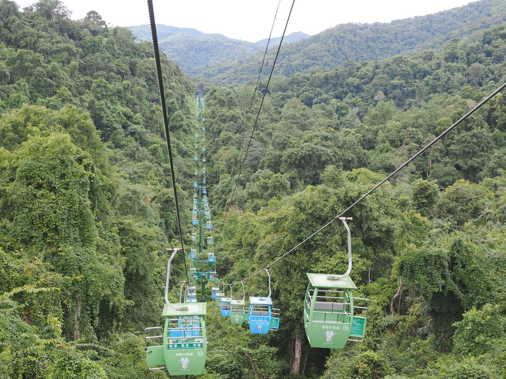 Chalin Shequ, Yunnan, Chine. 2 novembre 2025, 15:01.© Tobias Bührer 2025