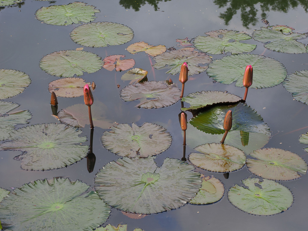 Chalin Shequ, Yunnan, Chine. 2 novembre 2025, 16:42.© Tobias Bührer 2025