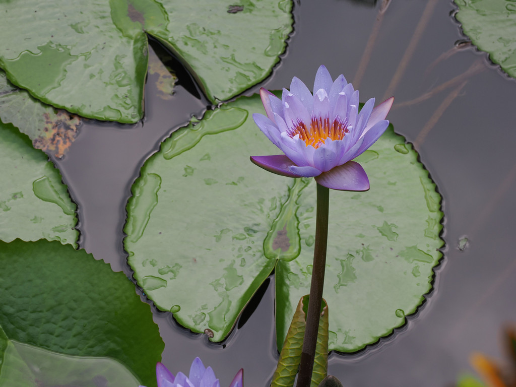 Chalin Shequ, Yunnan, Chine. 2 novembre 2025, 16:58.© Tobias Bührer 2025