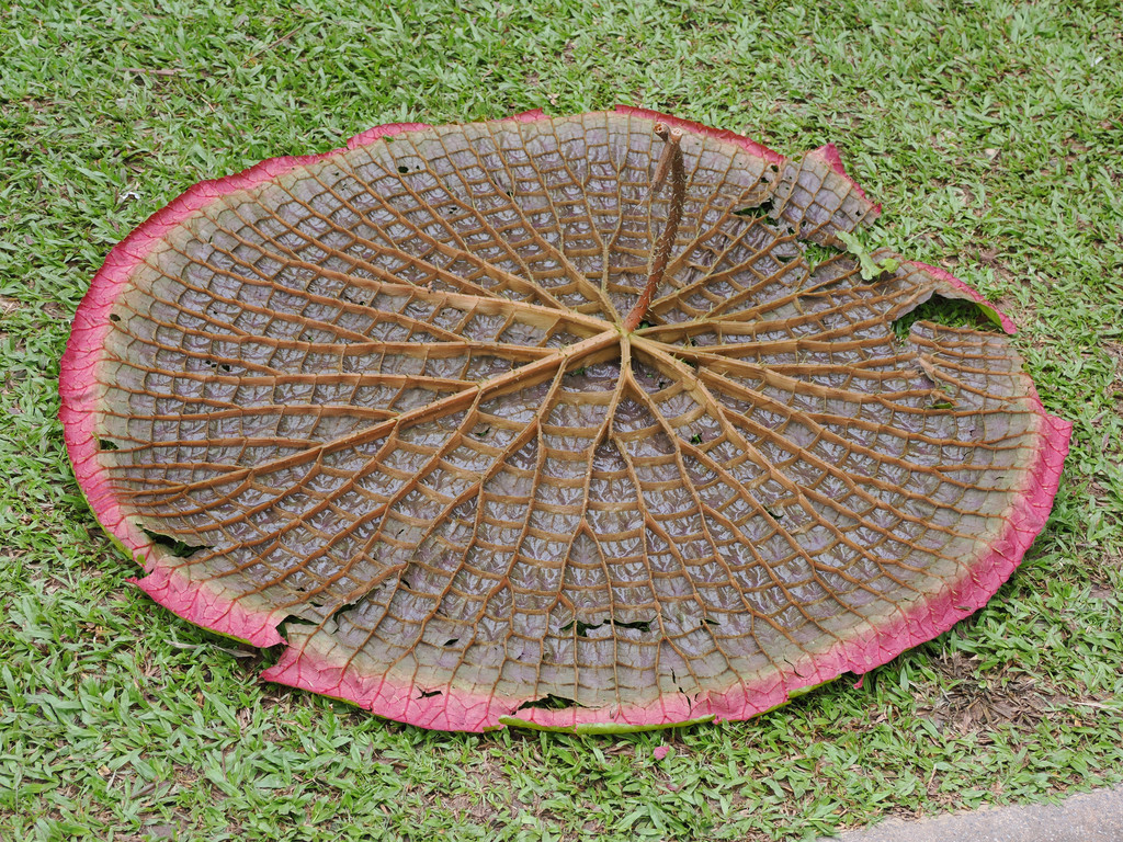 Manbiancun, Yunnan, Chine. 3 novembre 2025, 12:31.© Tobias Bührer 2025