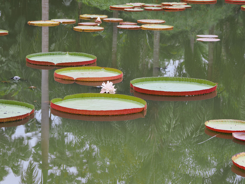 Manbiancun, Yunnan, Chine. 3 novembre 2025, 12:32.© Tobias Bührer 2025