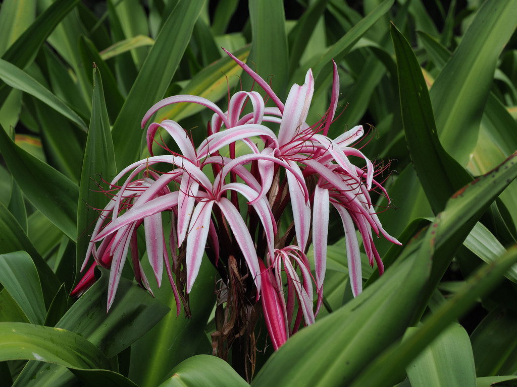 Chengzicun, Yunnan, Chine. 3 novembre 2025, 13:14.© Tobias Bührer 2025