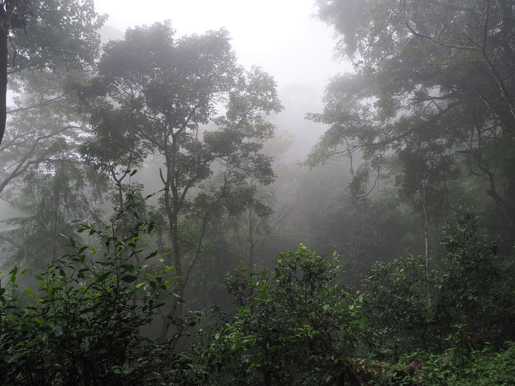 Guniangzhai, Yunnan, Chine. 4 novembre 2025, 10:33.© Tobias Bührer 2025
