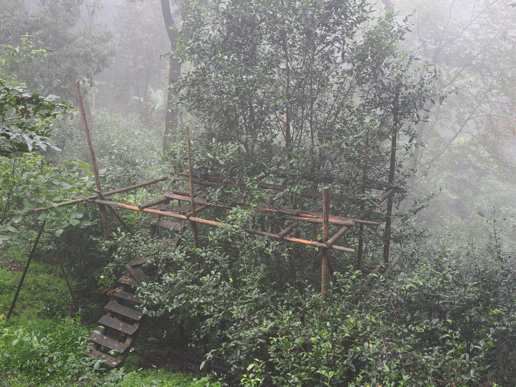 Guniangzhai, Yunnan, Chine. 4 novembre 2025, 10:49.© Tobias Bührer 2025