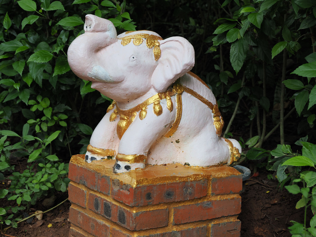 Manting, Yunnan, Chine. 4 novembre 2025, 14:52.© Tobias Bührer 2025