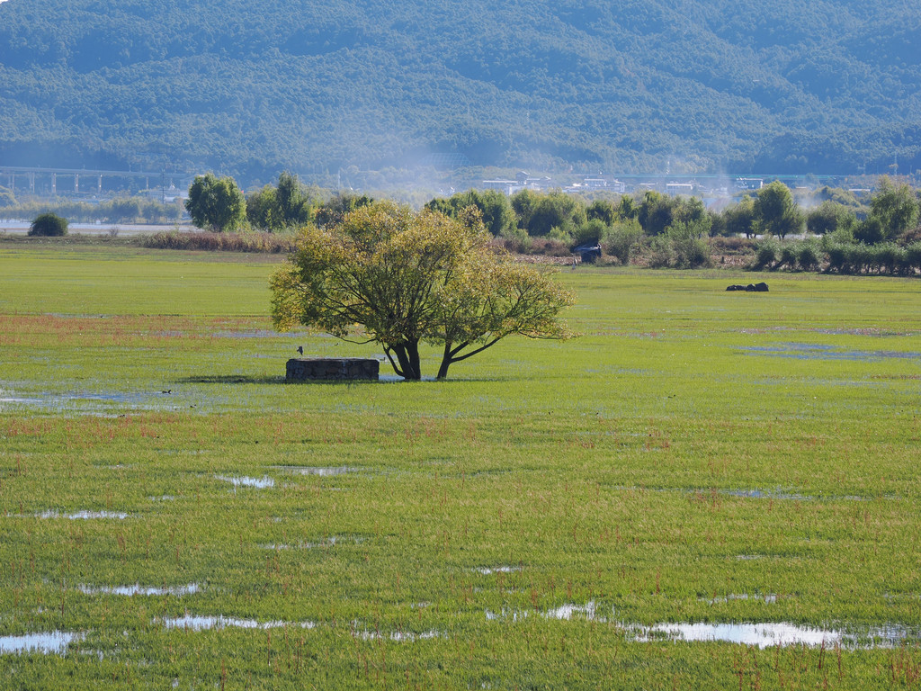 Xinrong, Weixi Lisu Autonomous County, Yunnan, Chine. 6 novembre 2025, 10:06.© Tobias Bührer 2025