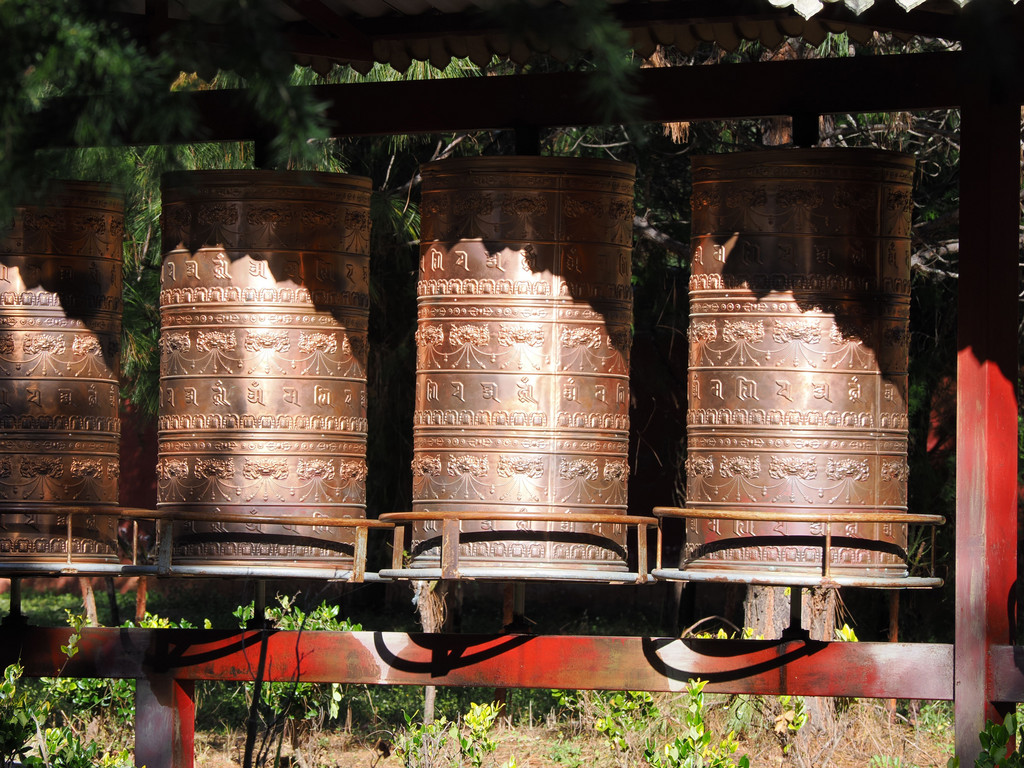 Manxiang, Weixi Lisu Autonomous County, Yunnan, Chine. 6 novembre 2025, 10:19.© Tobias Bührer 2025