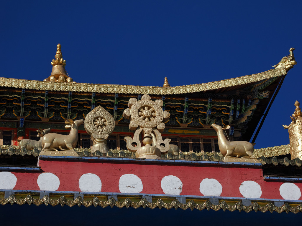 Manxiang, Weixi Lisu Autonomous County, Yunnan, Chine. 6 novembre 2025, 10:26.© Tobias Bührer 2025