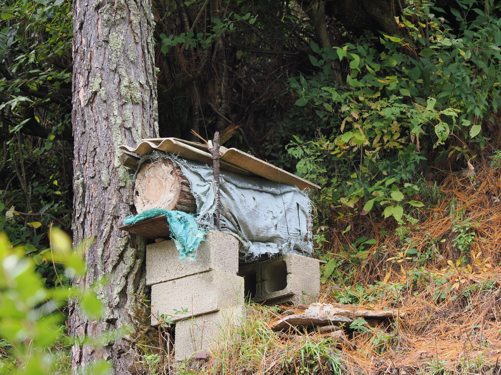 Mapingguan, Yunnan, Chine. 7 novembre 2025, 12:41.© Tobias Bührer 2025