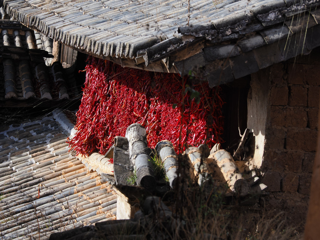 Hualong, Yunnan, Chine. 7 novembre 2025, 16:05.© Tobias Bührer 2025