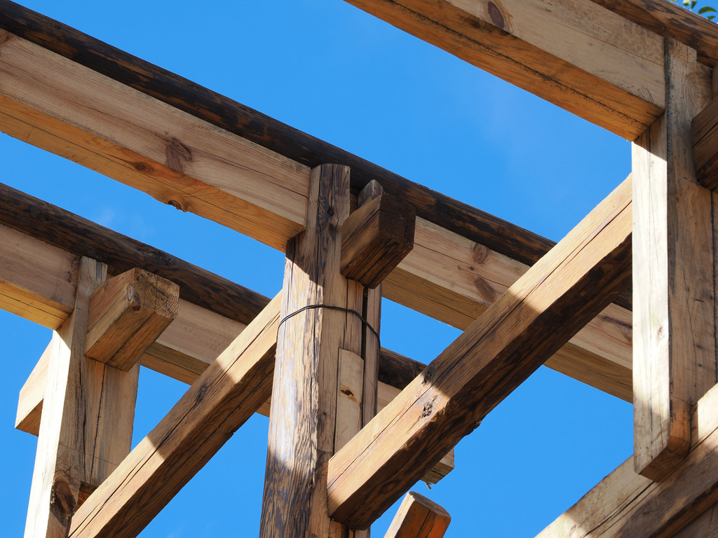 Hualong, Yunnan, Chine. 7 novembre 2025, 16:09.© Tobias Bührer 2025