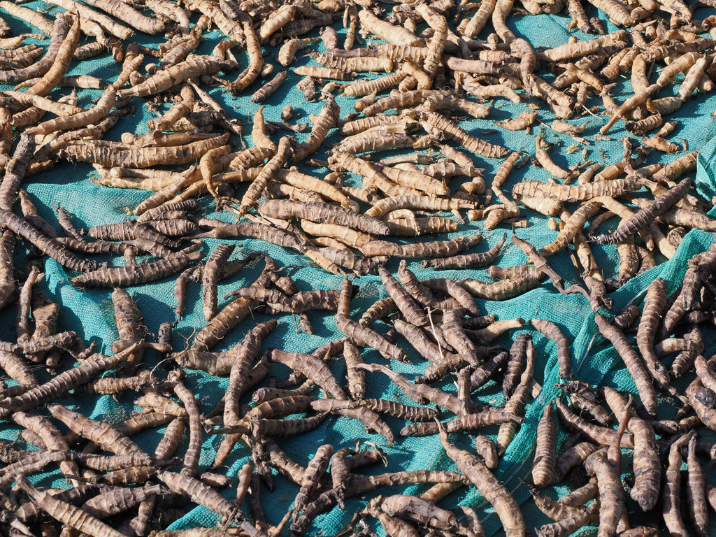 Hualong, Yunnan, Chine. 7 novembre 2025, 16:17.© Tobias Bührer 2025